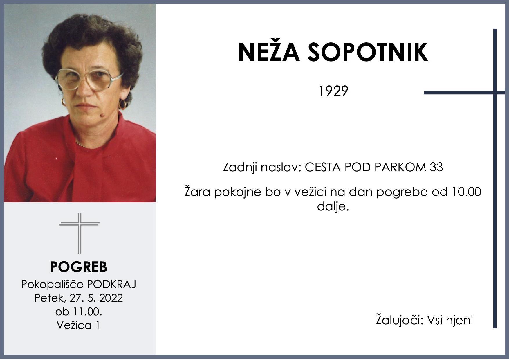 Neža Sopotnik1