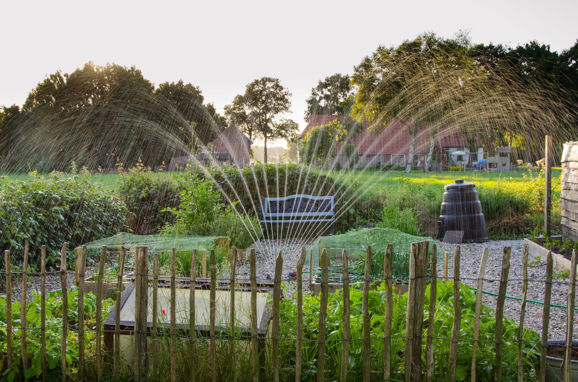 kitchen garden sprinkler gardening garden 730923
