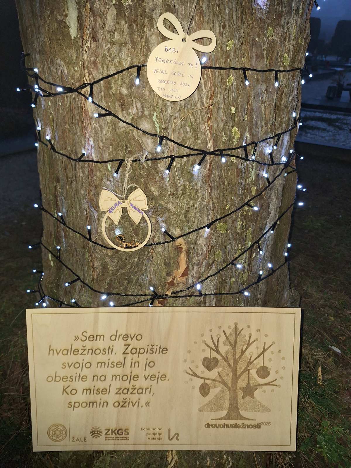 Drevo hvaležnosti 3