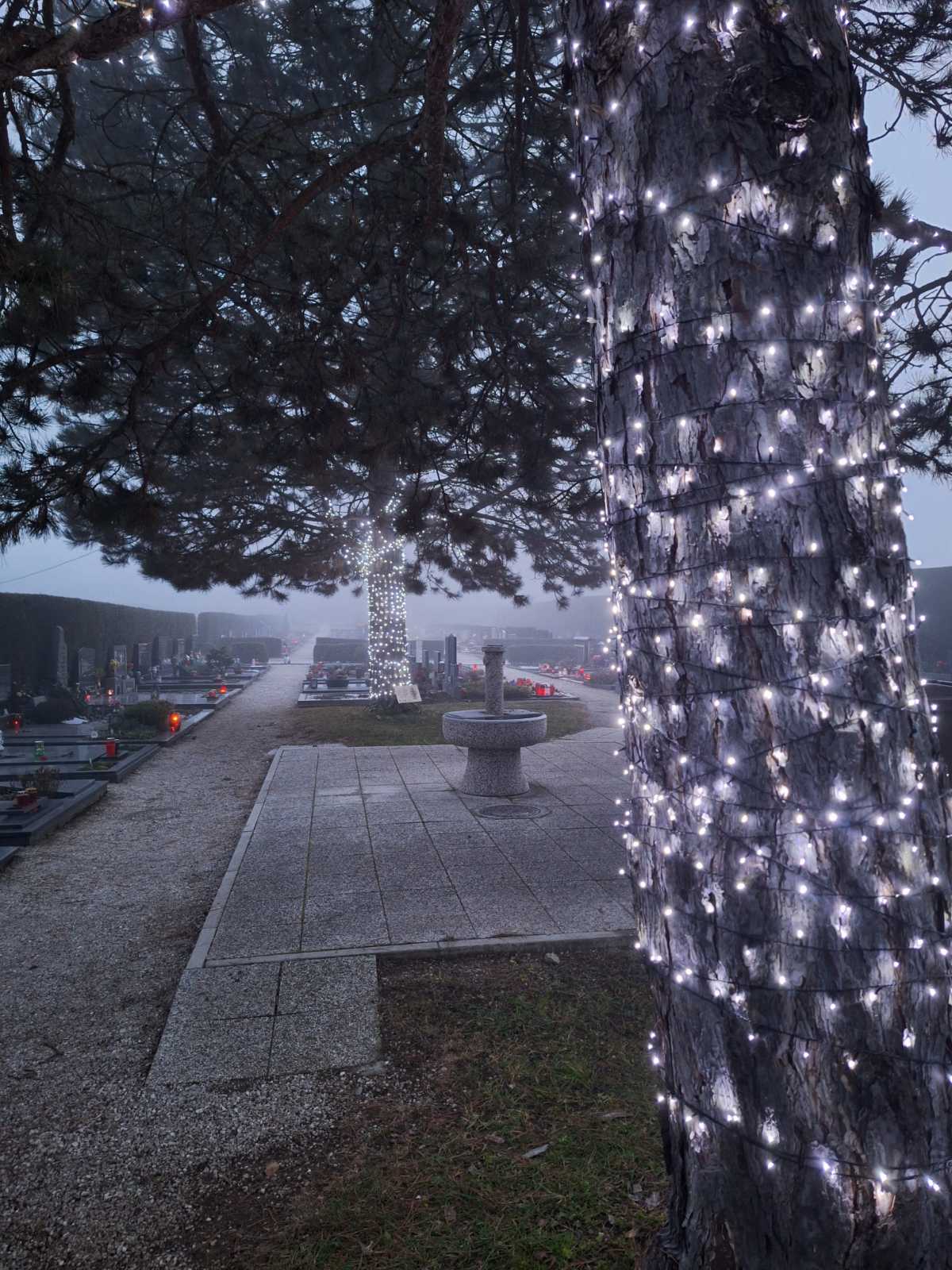 Drevo hvaležnosti 4