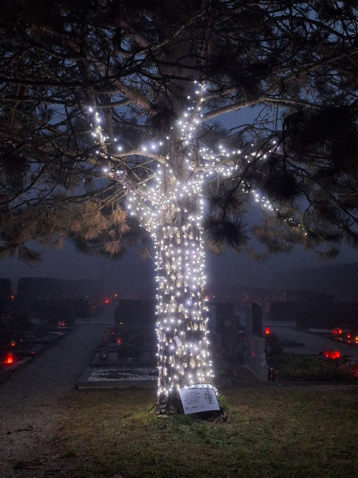 Drevo hvaležnosti 5