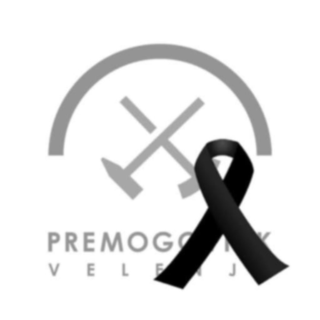 Premogovnik