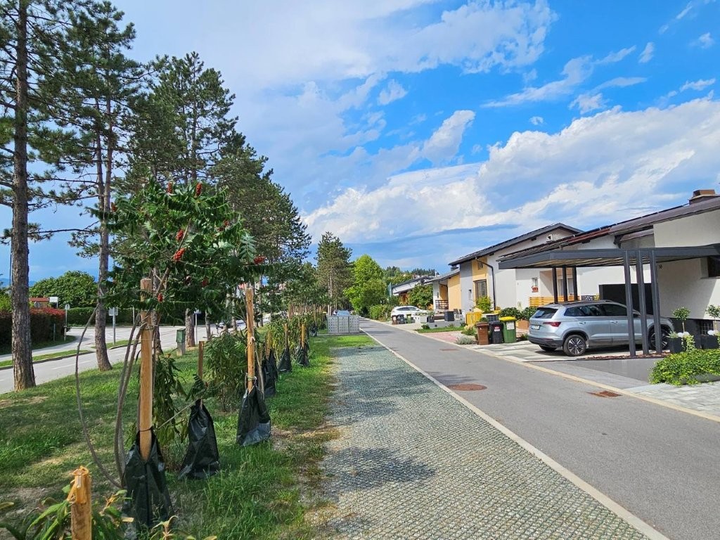 Goriska 3