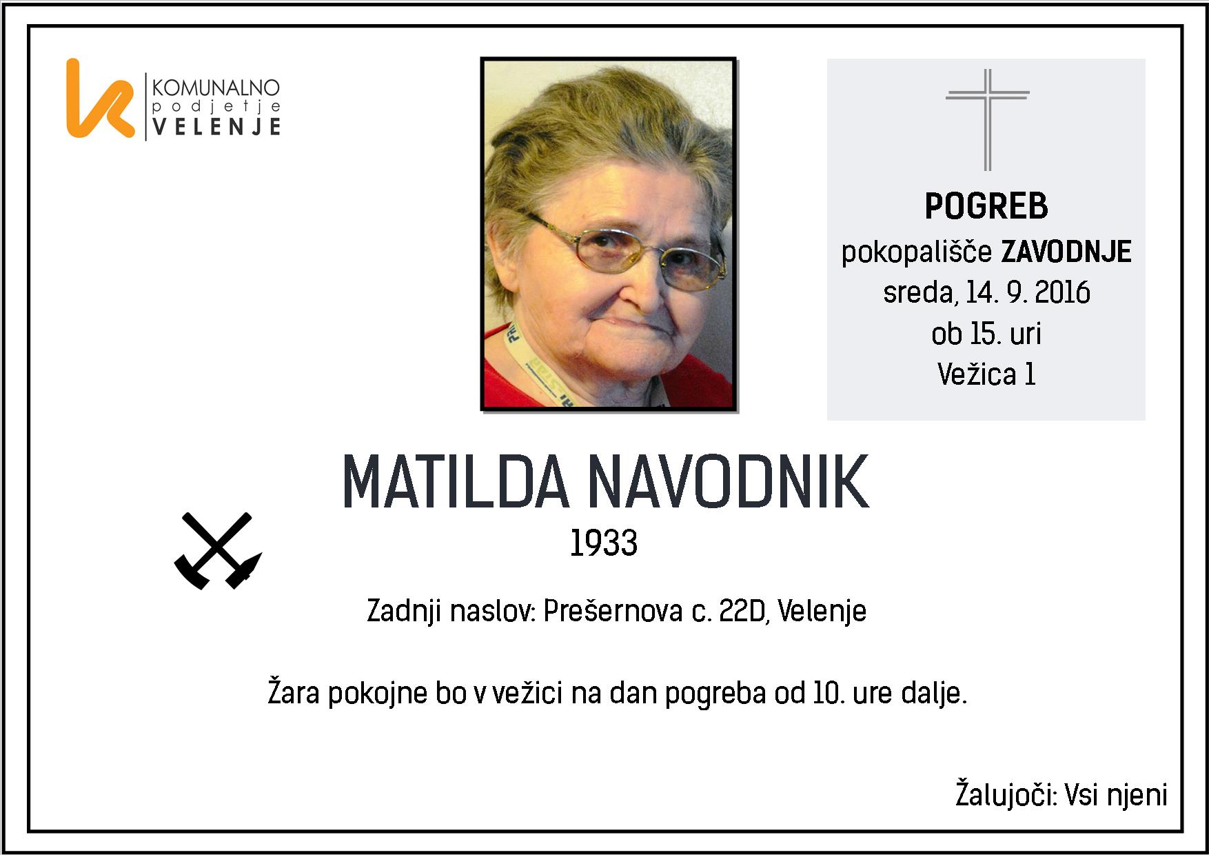 Navodnik