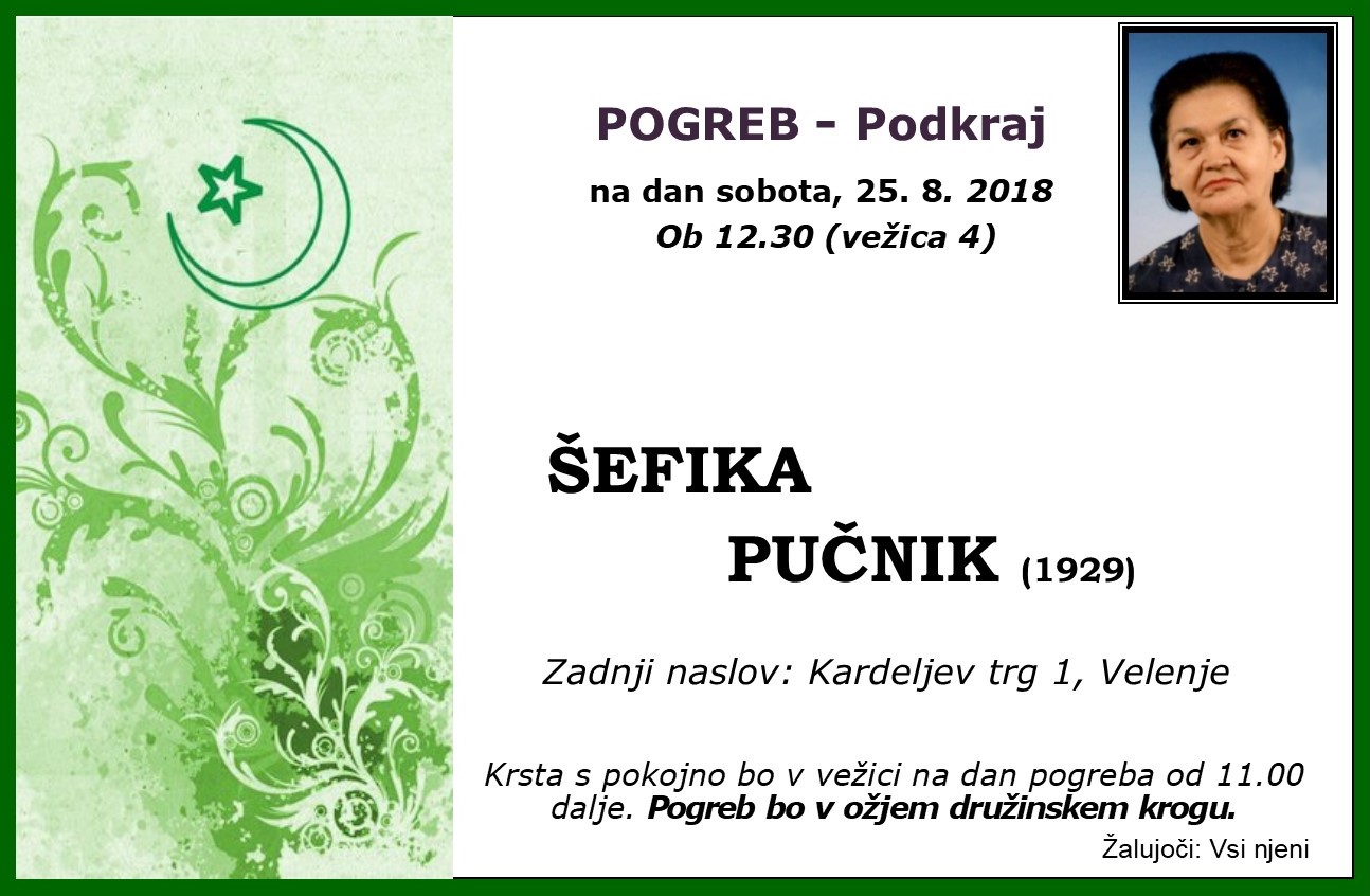 PucnikShefika